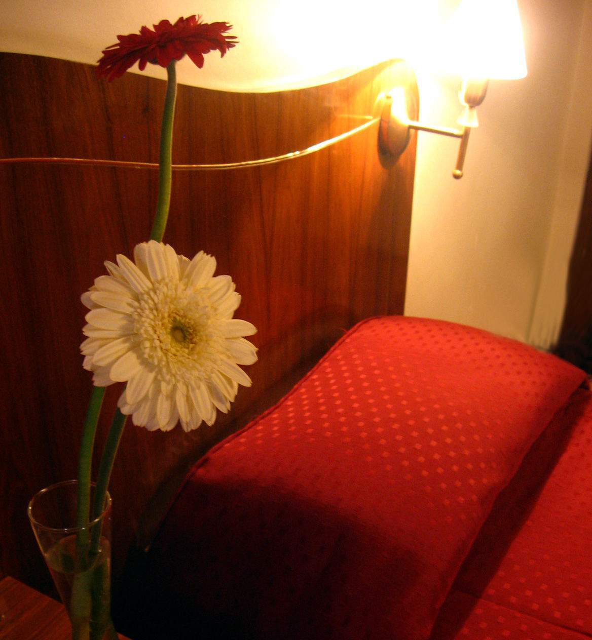 Hotel Princess Mendoza