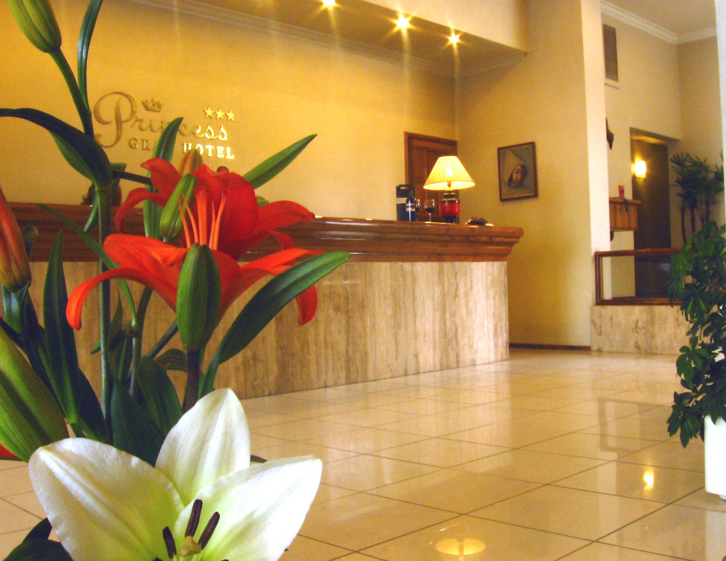 Princess Hotel 3*
